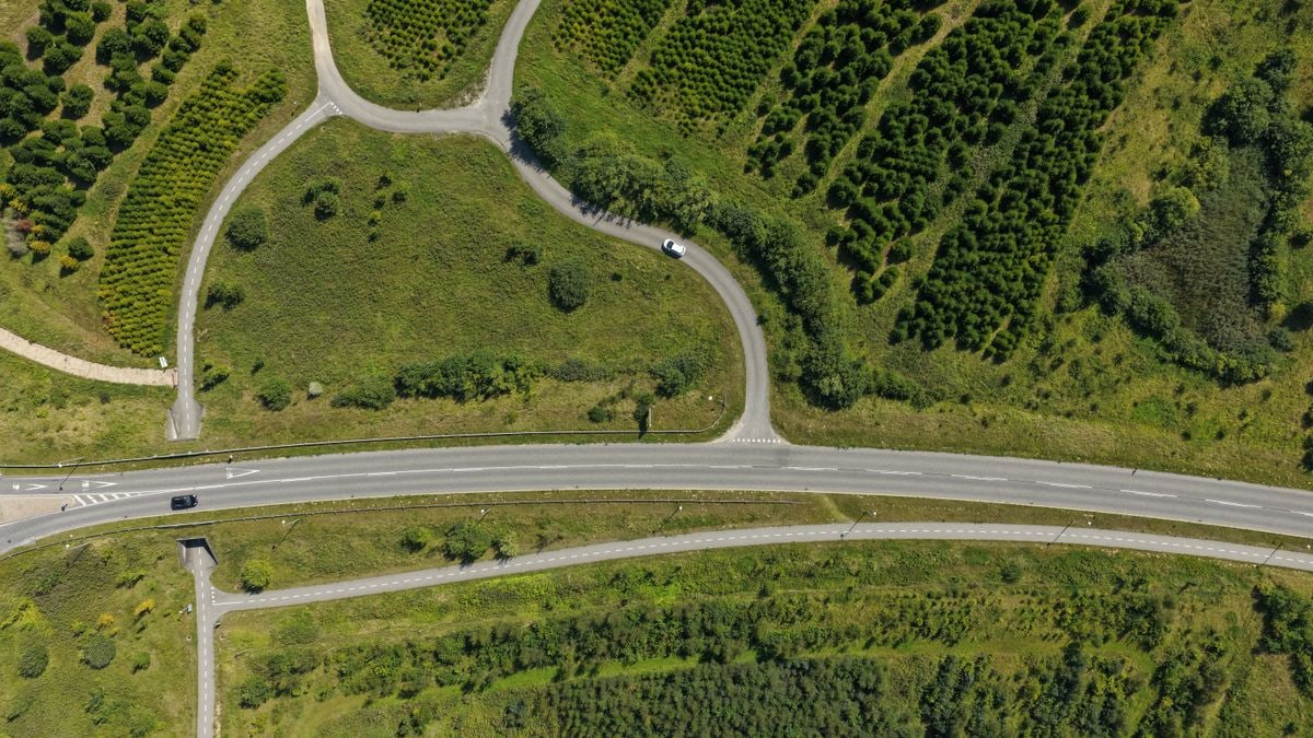 Aerial shot of a curving road through lush greenery in Denmark during a sunny day.